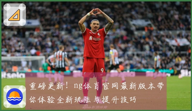 重磅更新！ng体育官网最新版本带你体验全新玩法与提升技巧