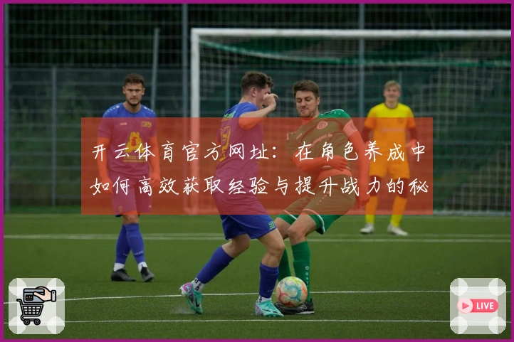 开云体育官方网址：在角色养成中如何高效获取经验与提升战力的秘诀