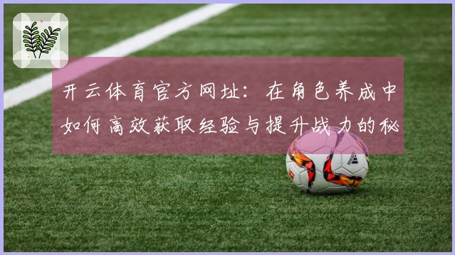 开云体育官方网址：在角色养成中如何高效获取经验与提升战力的秘诀