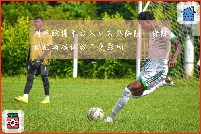 避开欧博平台入口常见陷阱，保障你的游戏体验不受影响